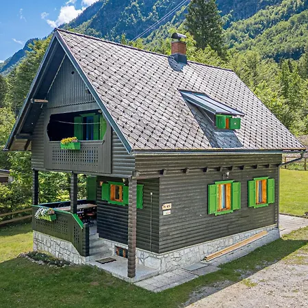 Alpine Metka At - Happy * Bohinj