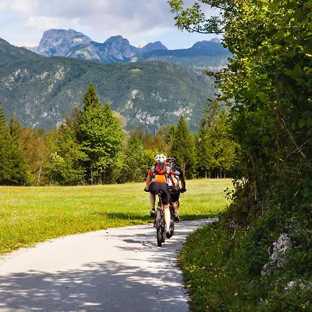 Alpine Metka At - Happy