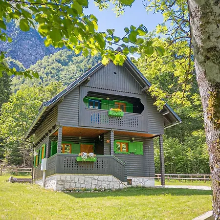 Chalet Alpine Metka At - Happy Bohinj