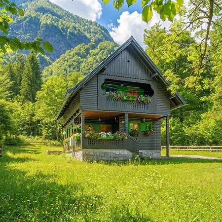 Chalet Alpine Metka At - Happy