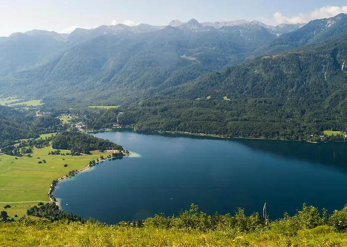 Alpehytte Alpine Metka At - Happy *